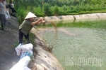 Kinh tế trang trại – Hướng phát triển bền vững