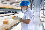 Đổi mới để vươn xa cùng OCOP