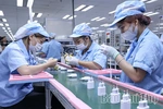 Doanh nghiệp Phú Thọ vượt rào cản để xuất khẩu