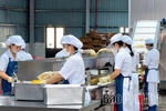 EVFTA Opens Wider Export Opportunities for Phu Tho Businesses