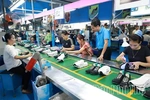 Phu Tho Enterprises Overcome Trade Barriers to Expand Exports