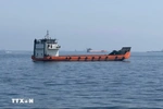 Mỹ trấn an thị trường dầu mỏ khi căng thẳng với Iran gia tăng