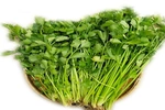 Giá cả thị trường&nbsp;ngày&nbsp;21/7/2026