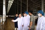 Tháo gỡ khó khăn Dự án Tổ hợp trang trại và nhà máy chế biến thịt bò Tam Đảo