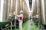 Chương trình OCOP - Động lực phát triển kinh tế nông thôn bền vững