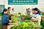Regional Linkages: Enhancing Agricultural Product Consumption Efficiency