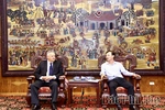 Brazilian Business Delegation Explores Investment Opportunities in Phu Tho