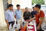 Kết nối thị trường, mở rộng đầu ra cho nông sản hữu cơ&nbsp;