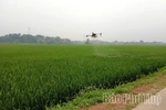 Hiền Quan đẩy mạnh ứng dụng công nghệ vào sản xuất nông nghiệp
