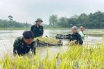 Đối thoại bất đối xứng