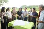 Khơi dậy giá trị di tích Đình Cả