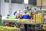 Để kinh tế tư nhân phát triển nhanh, bền vững