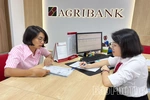 Agribank Chi nhánh Lập Thạch Vĩnh Phúc tiếp sức cho “Tam nông” bứt phá