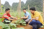 Lạc Lương tự lực vượt khó&nbsp;