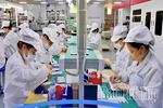 “Green Channel” Accelerates Investment