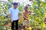 Phát triển kinh tế tập thể ở Đà Bắc