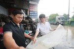Tháo gỡ khó khăn, vướng mắc, phát huy hiệu quả các cụm công nghiệp
