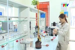 Duy trì sản xuất kinh doanh trong dịp nghỉ lễ