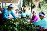 “Reviving” the Dong Lai Brocade Weaving Craft Village