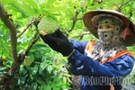 “Bệ phóng