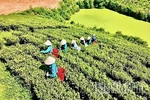 Đường lớn cho kinh tế tư nhân - Kỳ 2: Khơi dòng nguồn lực