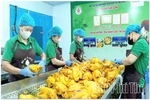 Mở rộng thị trường cho sản phẩm OCOP Minh Đài