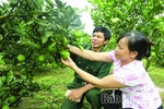 Biến chất thải thành tài nguyên: Giá trị kép từ nông nghiệp tuần hoàn
