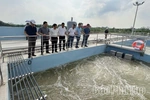 Bảo vệ môi trường cho công nghiệp xanh