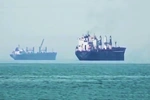 Bảy ngày tìm lối thoát cho xung đột Mỹ - Iran