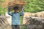 Phát triển nghề chế biến gỗ ở Tây Cốc