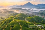 Long Coc – An Attractive Destination in the Ancestral Land