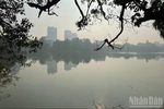 Thời tiết ngày 17/10: Bắc Bộ, Trung Bộ ngày nắng, sáng có sương mù