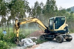 Lập Thạch xử lý vụ vứt 18 con lợn chết ra môi trường