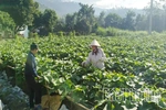 Tam Dương Bắc chung sức xây dựng nông thôn mới