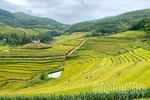 Lễ hội Ruộng bậc thang Miền Đồi năm 2026 sẽ diễn ra trong 2 ngày 24 - 25/10