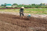 Nâng cao hiệu quả sản xuất vụ Đông