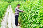 Bảo đảm nguồn cung thực phẩm dịp cuối năm