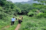 Chung sức giữ rừng Xuân Sơn