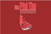 Tổ chức - Bộ máy