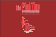 Tổ chức - Bộ máy