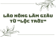 Lão nông làm giàu từ “lộc trời”