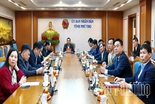 Strongly Innovating Economic Diplomacy