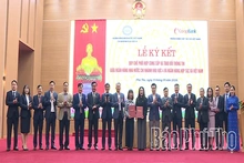 Triển khai nhiệm vụ Quỹ tín dụng nhân dân năm 2026