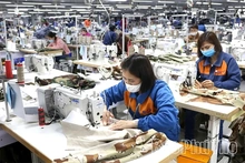 Phu Tho’s Economy Accelerates in the Run-up to Lunar New Year