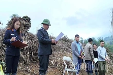 Tăng cường phối hợp để nâng cao hiệu quả thi hành án