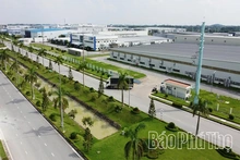 Developing Infrastructure for Sustainable Growth