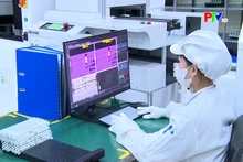 Phu Tho News on January 25, 2026