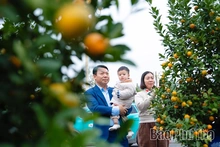 Rộn ràng thị trường hoa Tết