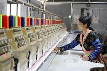 Chuyển đổi sản xuất mở hướng thoát nghèo ở xã Thu Cúc