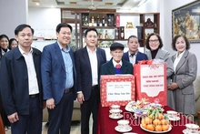 Phó Chủ tịch UBND tỉnh Vũ Việt Văn chúc Tết, tặng quà tại phường Thanh Miếu